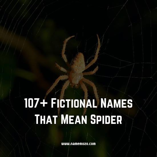 107+ Fictional Names That Mean Spider |🕷️ Ideas for Boys + Girls