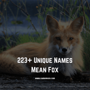 116+ Fascinating Japanese Last Names with Dark Meanings - Name Mozo